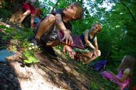 181_23_366_7_1_de.JPG